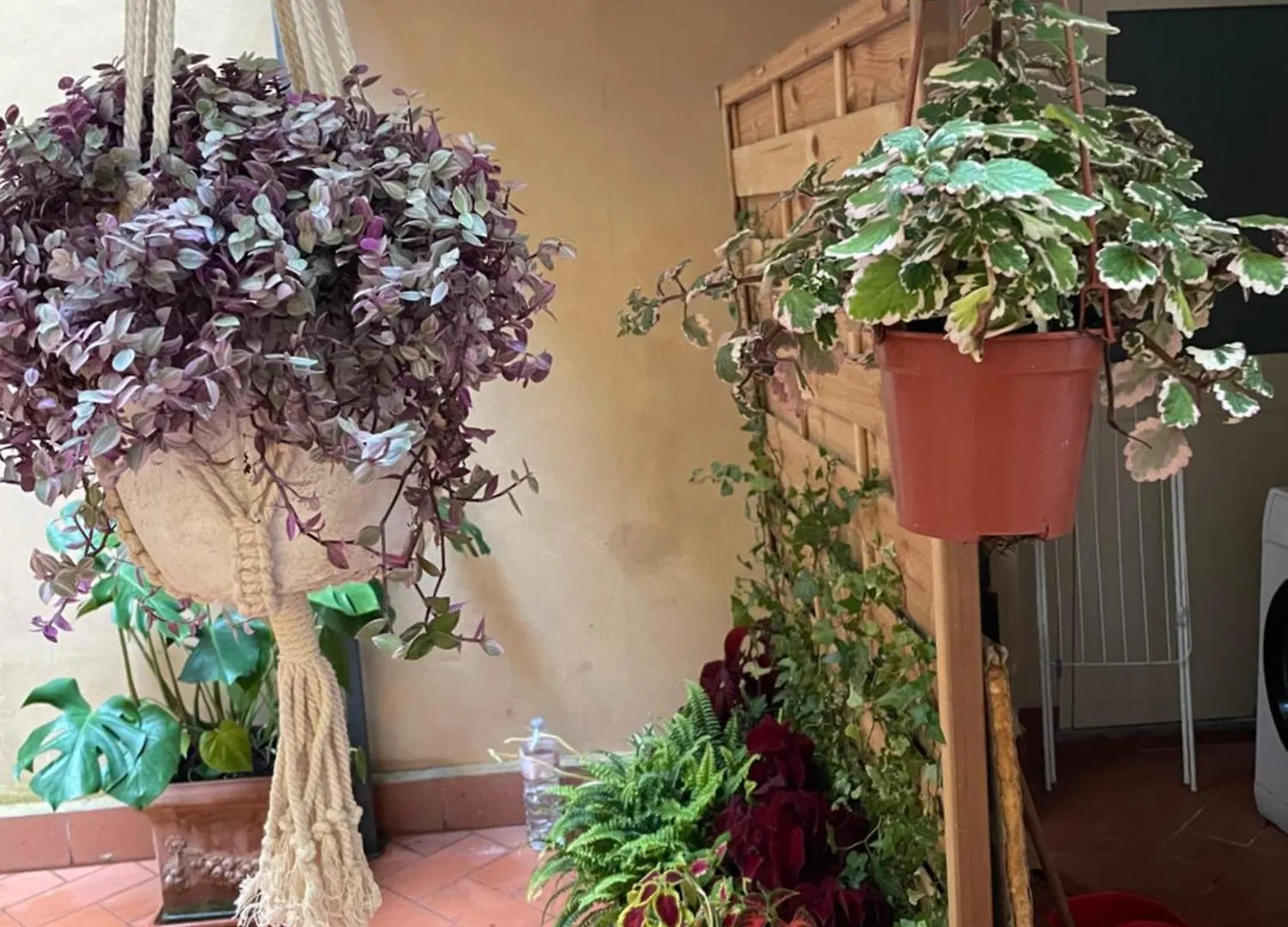 Bonconvento Guesthouse - Hituscany Pisa
